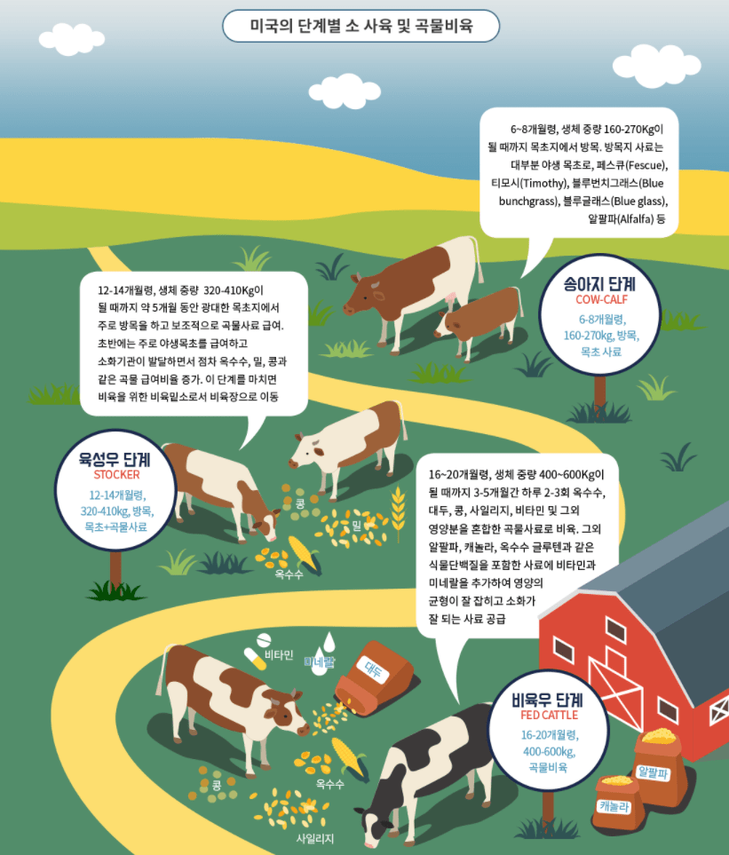 일반적으로 소고기는 어느나라 것이 더 부드러운가요? ㅣ 궁금할 땐, 아하!