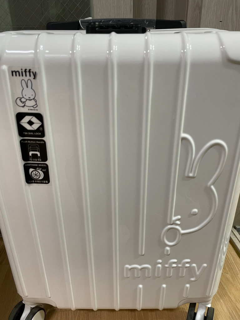 비오는날 캐리어 사용해도 되나요? ㅣ 궁금할 땐, 아하!